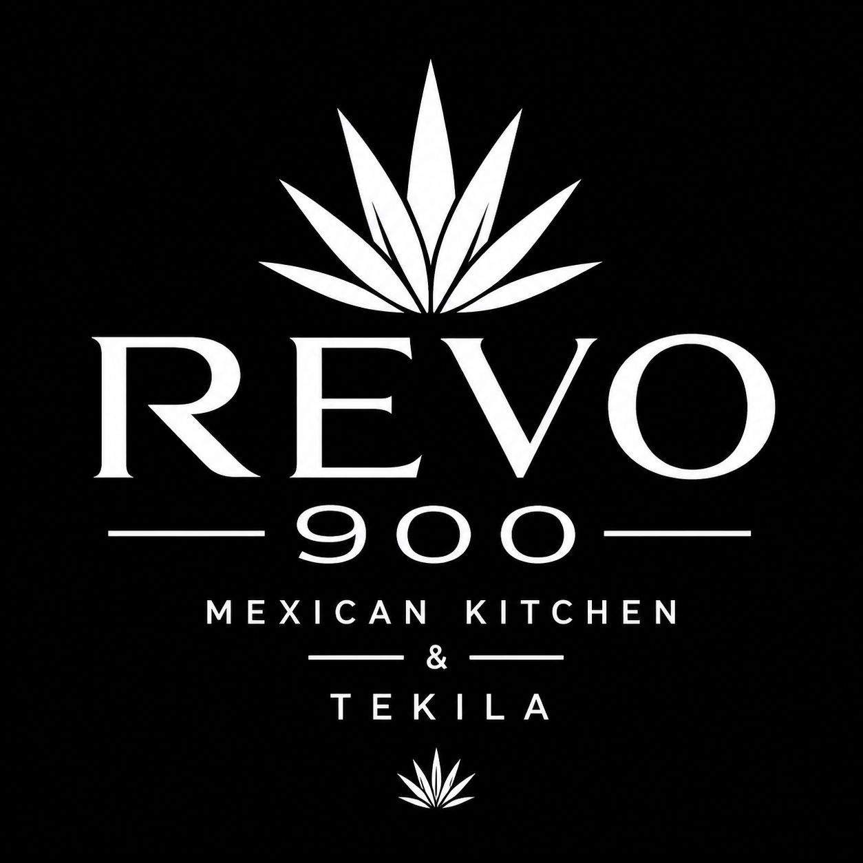 Revo 900 logo